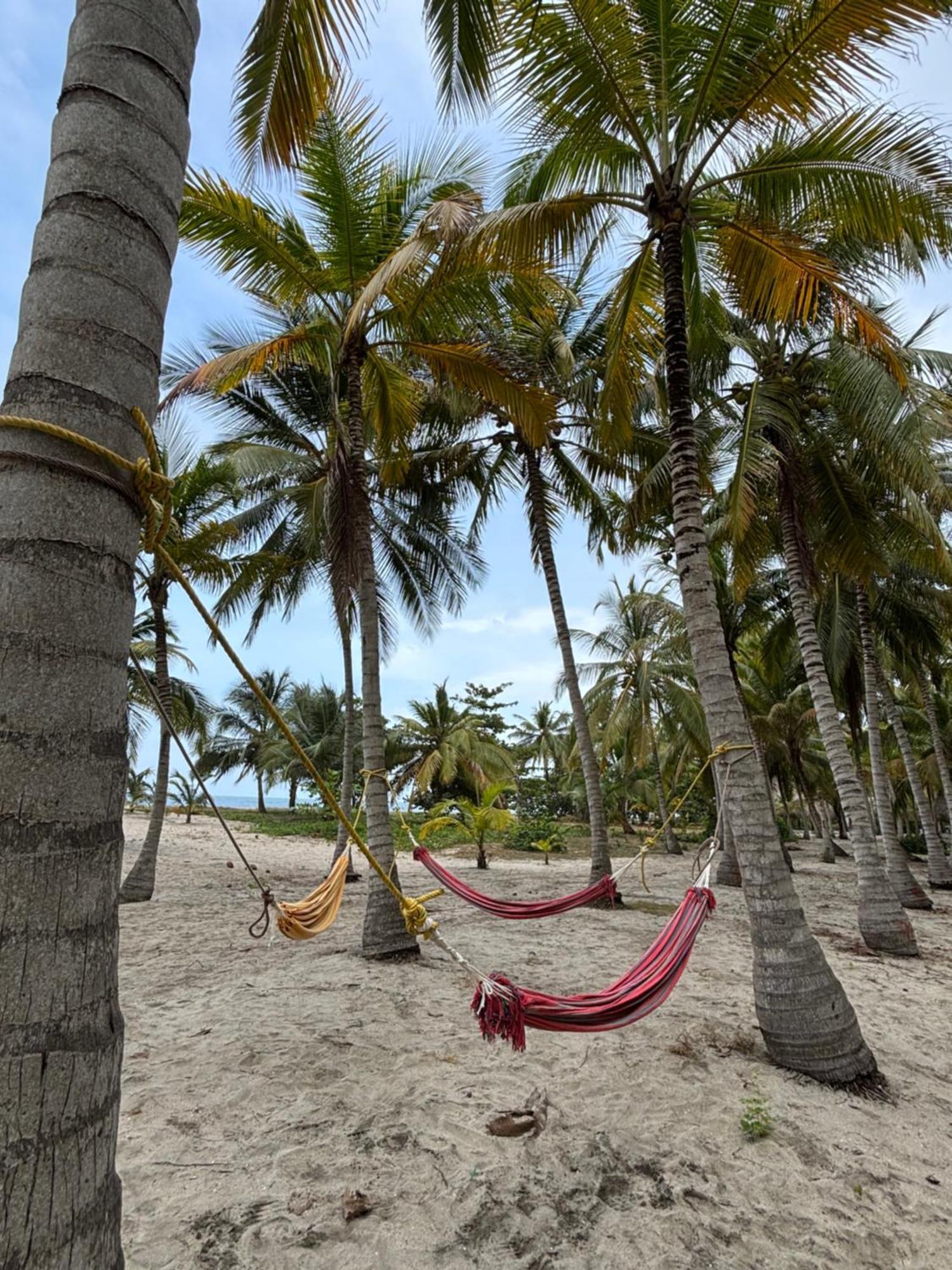 Hotel Playa Bonita Tayrona Буритака Экстерьер фото