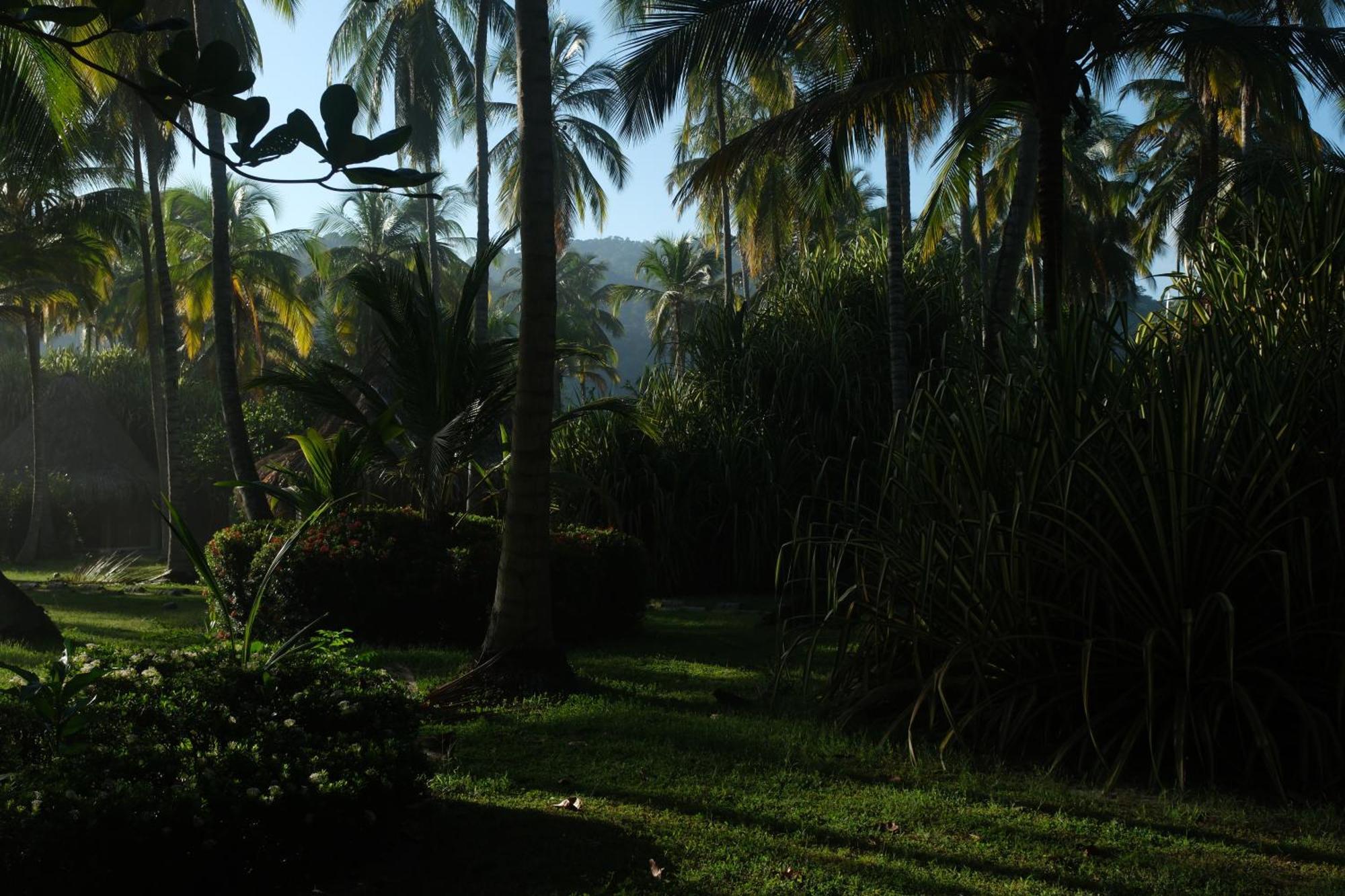 Hotel Playa Bonita Tayrona Буритака Экстерьер фото